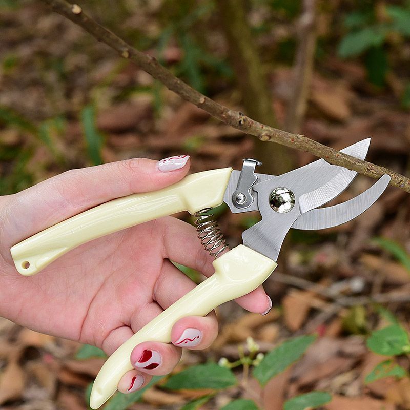 Florist Supply Bulk - Arbeidsbesparende tuinsnoeischaar, professionele handknipper voor het