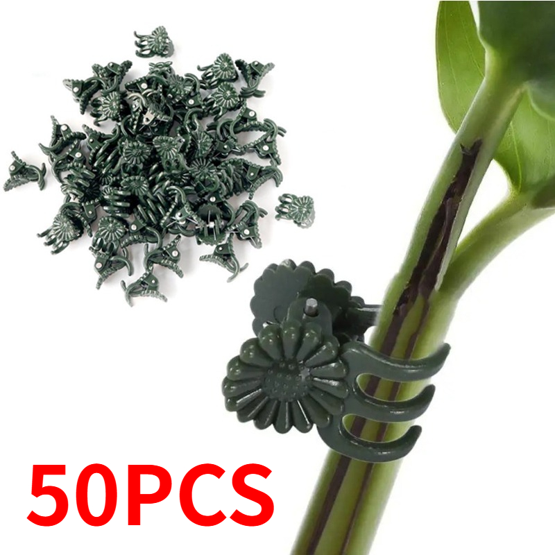 50 STUKS 5-Klauw Donkergroene  - Florist Supply Bulk recensie en prijs