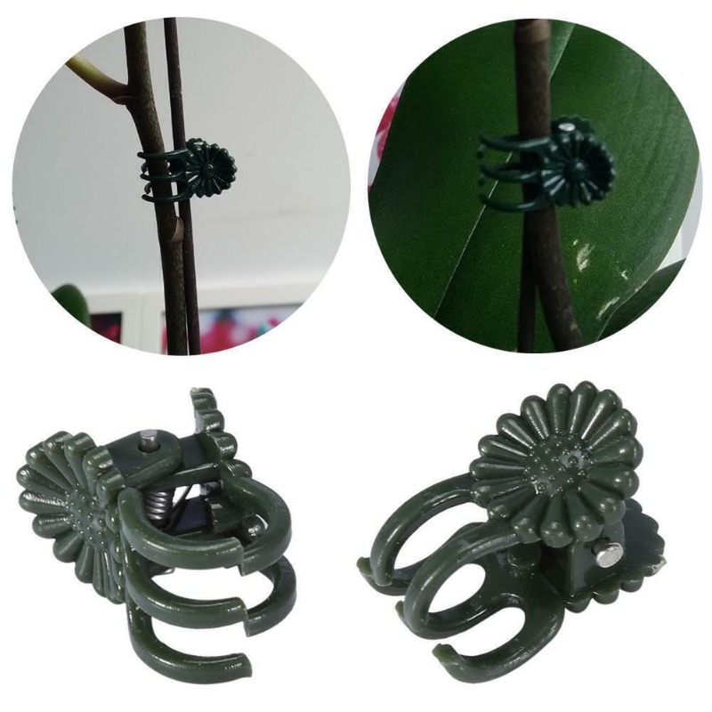 50 STUKS 5-Klauw Donkergroene  - Florist Supply Bulk recensie en prijs