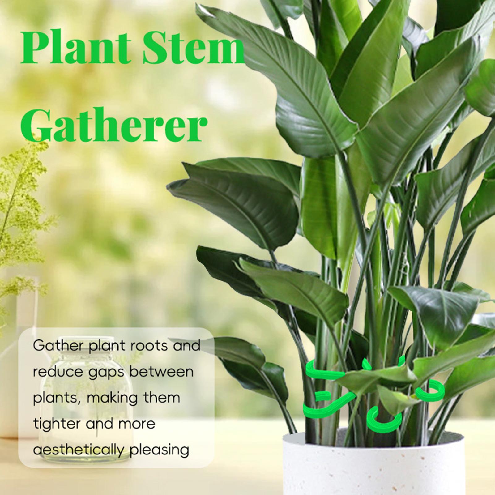 4-delige plantenbevestigingscl - Florist Supply Bulk recensie en prijs