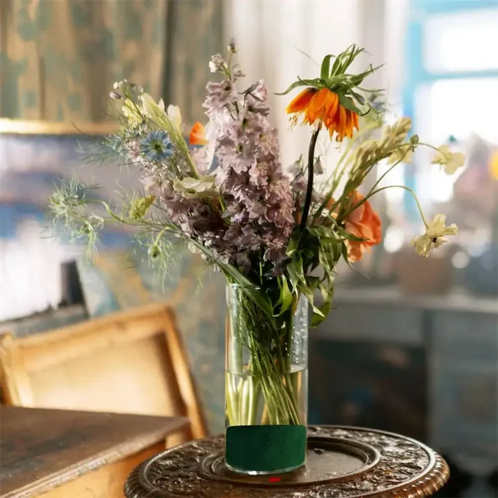 6.5 ''Inch Ronde Schuimblokken - Floral Foam Oasis recensie en prijs